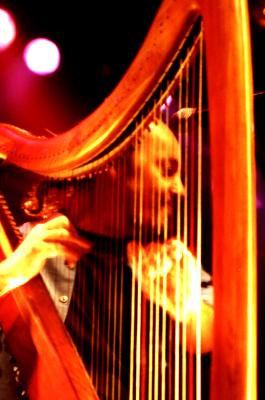 Alan Stivell at Tilburg Folk Festival; photo by The Mollis