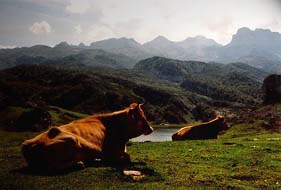 Picos mountains in Asturias; photo by The Mollis