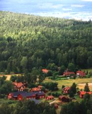 Forests around Falun, photo by The Mollis