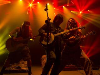 Hayseed Dixie