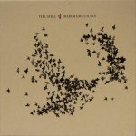 The Shee: Murmurations