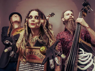 Jo Carley and The Old Dry Skulls