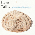 Steve Tallis