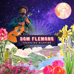 Dom Flemons